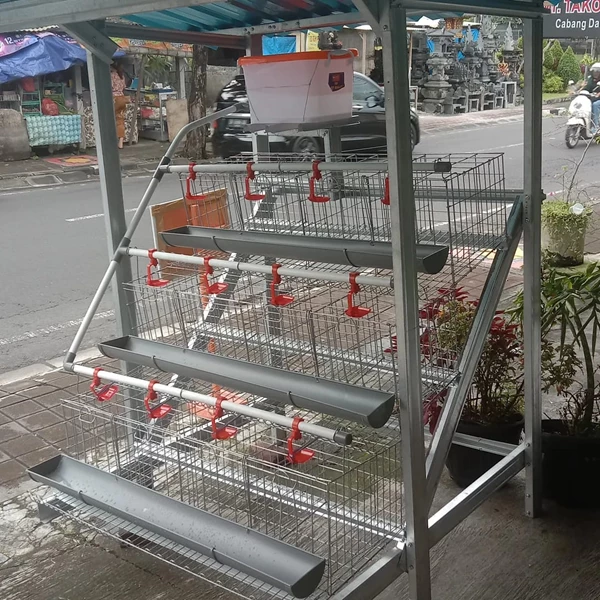 Tata Letak Fasilitas Pendukung: Pakan dan Air Minum