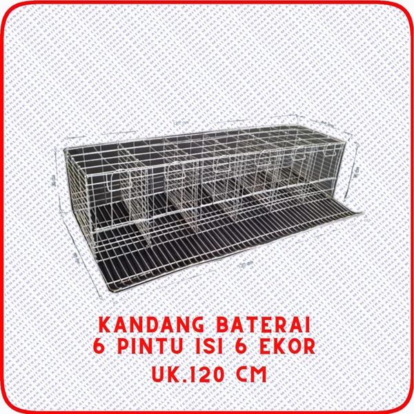 Tata Letak Kandang Baterai Petelur yang Ideal: Kunci Sukses Ternak Ayam