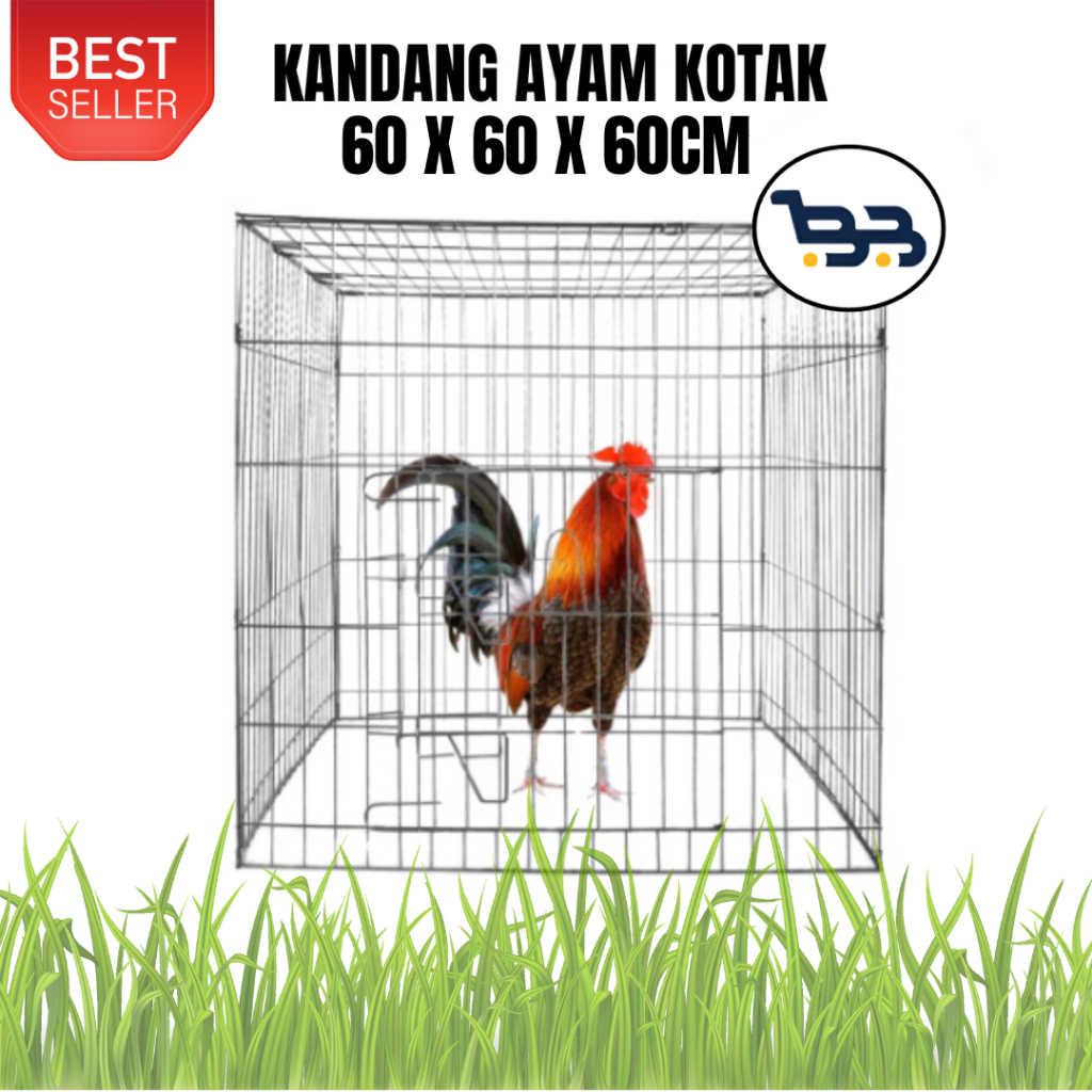 Tata Letak Zona Aktivitas Ayam