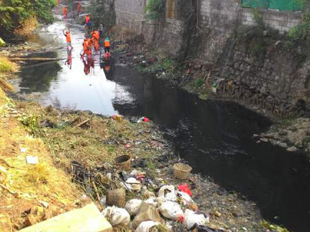 Teknik Pengolahan Limbah Kotoran Ayam yang Efektif