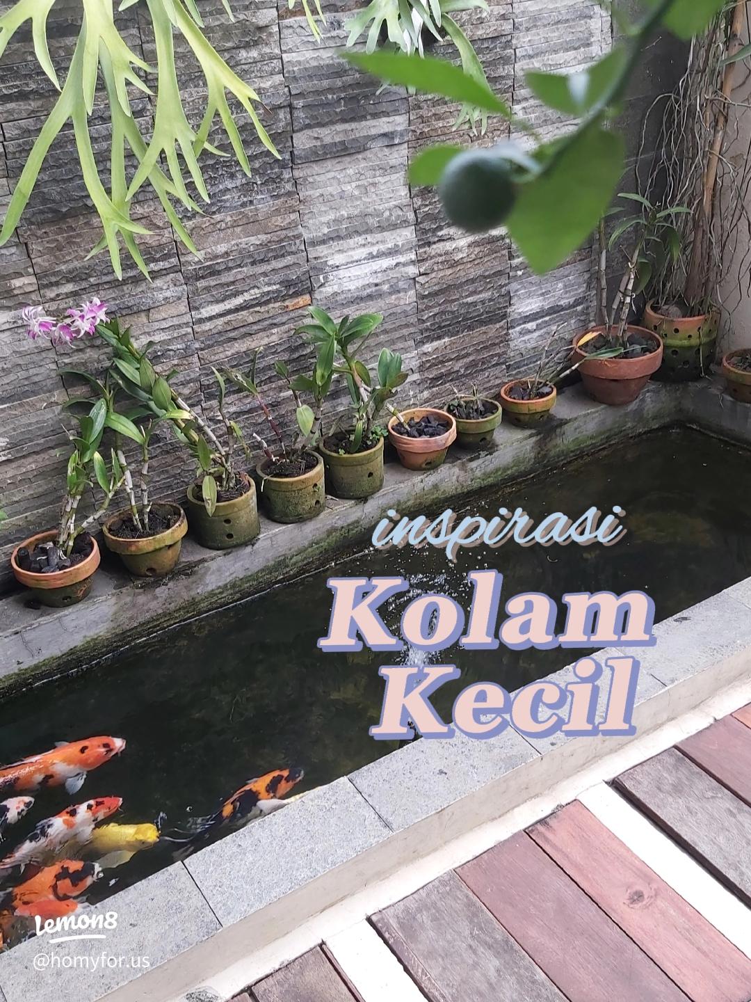 Tips Merawat Tanaman di Kolam Ikan Mas Koki