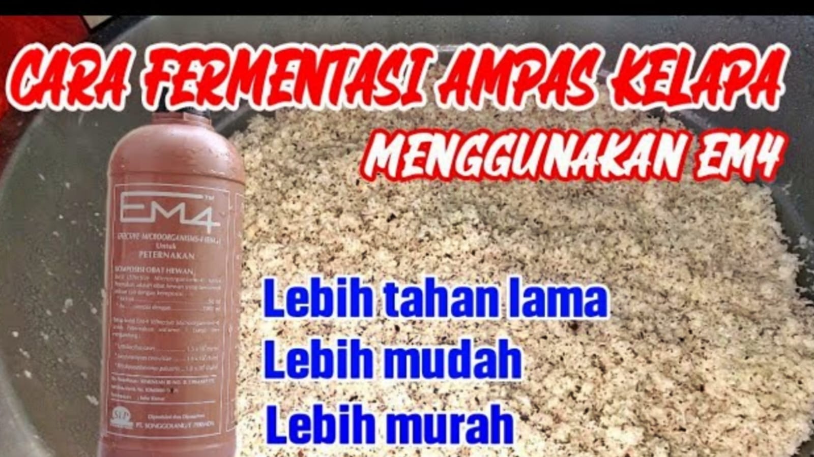 Tips Sukses dan Cara Pemberian Pakan