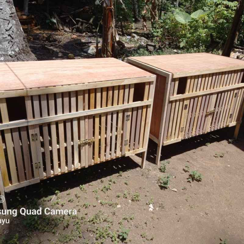 Ventilasi dan Pencahayaan: Kunci Kesehatan di Ruang Terbatas